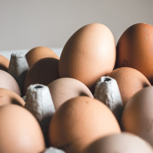 Во Владимирской области могут подешеветь яйца
