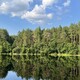 За купальный сезон-2023 во Владимирской области погибли 40 человек