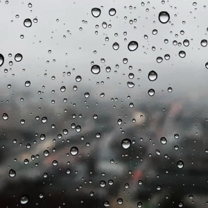 Во Владимирской области пообещали ливень с грозой