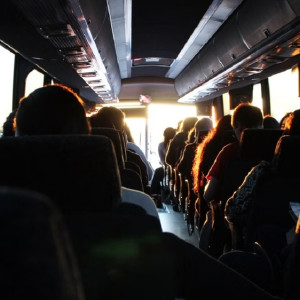 Расписание автобусов Владимир – Камешково изменили 