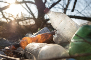 Во Владимире регоператора оштрафовали на 3 млн рублей за год за невывоз мусора