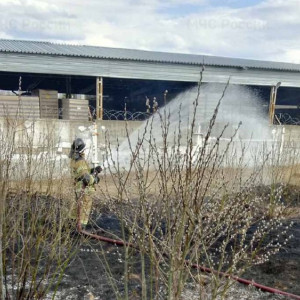 Во Владимирской области спасатели потушили 6 палов травы