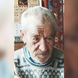 Во Владимирской области в начале октября в лесу пропал 83-летний дедушка