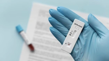 Во Владимирской области подтвердили 279 случаев ковида