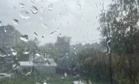 Во Владимирской области началась неделя дождей