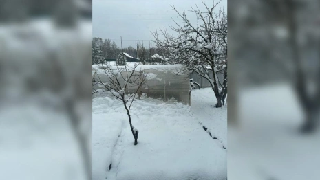 Юг Владимирской области засыпало снегом