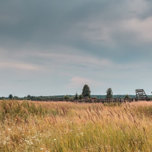 Во Владимирской области собственница «превратила» урочище в деревню 