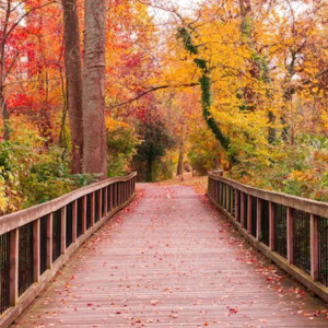 Семин день: что можно и чего нельзя делать 14 сентября