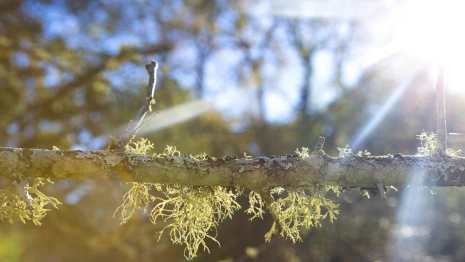 Апрельское тепло во Владимире побило рекорд 41-летней давности