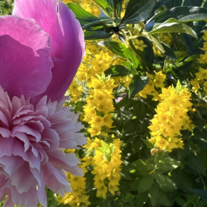 Прогноз погоды во Владимирской области на 28 мая 2025 года