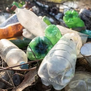 Во Владимирской области цены на вывоз мусора вырастут с 1 июля