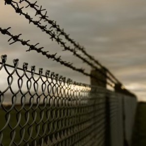 Алексей Навальный* «переехал» из владимирской колонии