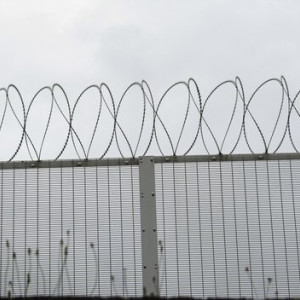 Shot: Алексей Навальный* остался во владимирской колонии