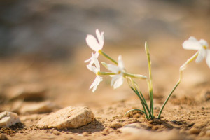 Прогноз погоды на 29 марта 2024 года во Владимире и области