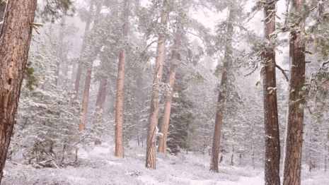 Во Владимире 44-летнего мужчину нашли живым