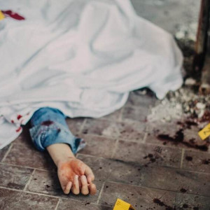 В Александрове ребенок нашел в сарае тело жестоко убитой матери