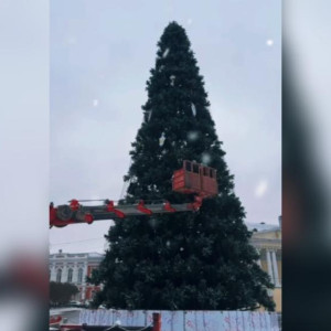 Во Владимире просрочили установку новогодней ели на Соборной площади