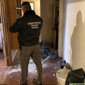 Зарезавшая мужчину жительница Коврова попалась на фотографиях трупа и голосовых