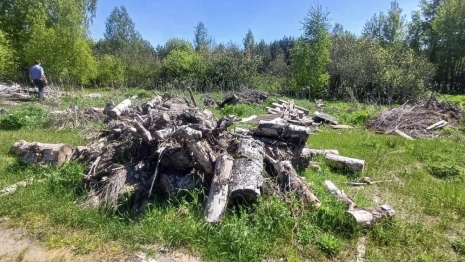 В селе под Суздалем нашли 4 огромные свалки