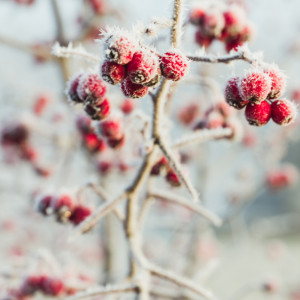 Прогноз погоды во Владимирской области на 16 ноября 2023 года