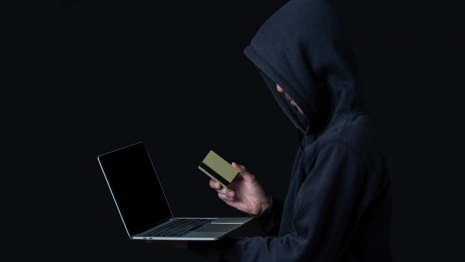 От рук аферистов пострадал каждый 200-й житель Владимирской области