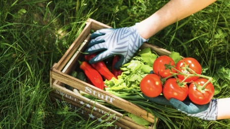 45 день Великого поста: что можно и нельзя делать 1 мая