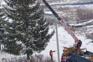 Чиновники из Гороховца объяснили решение срубить 30-летнюю ель