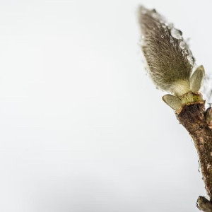 Во Владимирскую область на рабочей неделе вернется снег