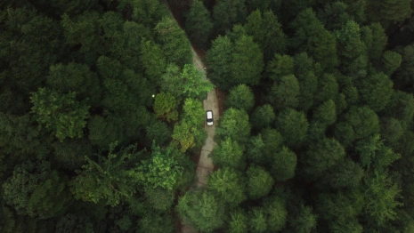 Во Владимирской области парень покончил с собой после расставания с девушкой