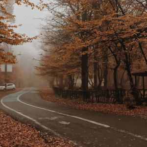 Жителям Владимирской области пообещали обновление климатических рекордов в выходные 