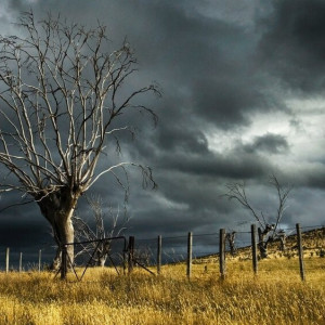 Пропавшего во Владимирской области пенсионера нашли мертвым