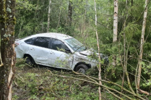 За неделю в ДТП на дорогах Владимирской области погибли 3 человека