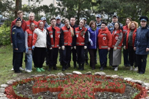 Около больницы скорой во Владимире появилась клумба в виде красного креста