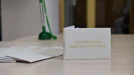 Во Владимирской области 18 тыс. многодетных семей получат удостоверения единого образца