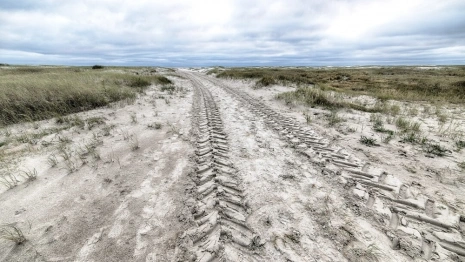 Семья из Киржача обратилась к Путину из-за выданного на бездорожье участка