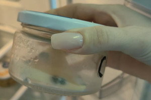 В больницах Мурома нашли сыр с плесенью и просроченные дрожжи