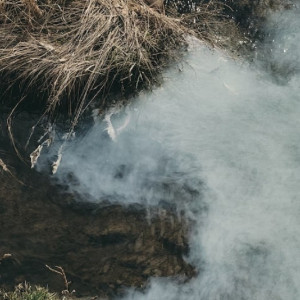 В реке под Муромом массово погибла рыба