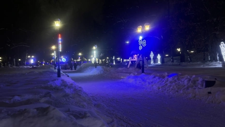 Во Владимире закрыли каток в парке имени Пушкина