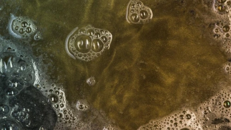 Жительница Юрьев-Польского попала под следствие за загрязнение водоема сточными водами