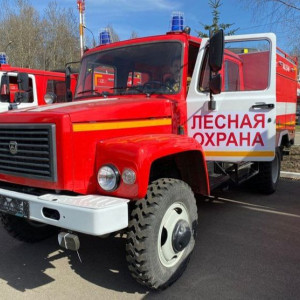 Во Владимирской области лето-2024 стало самым жарким и сухим за 5 лет