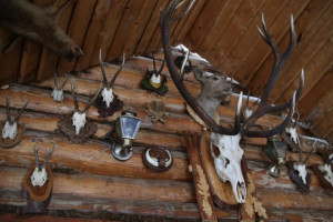 Во Владимирской области на продажу выставили охотничью базу