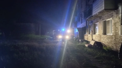 На пожаре в Муроме спасли двоих детей