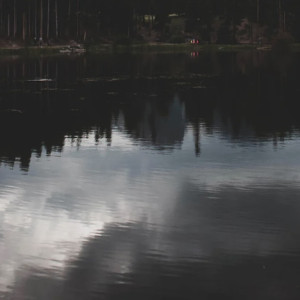 Утонувших под Александровом студентов московского вуза пытались спасти приятели
