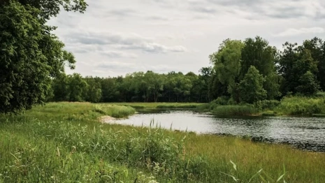 В Вязниковском районе стоки сбрасывали в реку