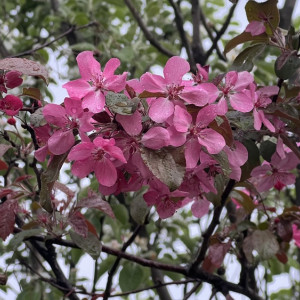 Синоптики пообещали небольшой дождь во Владимирской области
