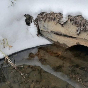 Во Владимирской области усилили контроль за чистотой водоемов