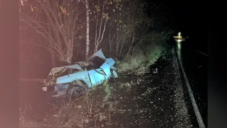 На дороге во Владимирской области водитель ВАЗ врезался в дерево