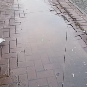 Жители Юрьев-Польского пожаловались на благоустройство у Торговых рядов