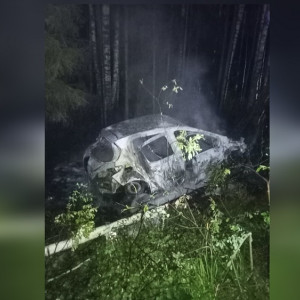 Во Владимирской области сгорел съехавший в кювет автомобиль