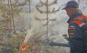 Запах гари из-за лесного пожара в Камешковском районе дошел до Коврова